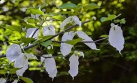 一起讀報-4月6日