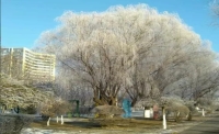 一起讀報-1月6日