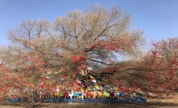 一起讀報(bào)-3月4日