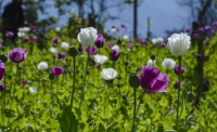 一起讀報-4月20日